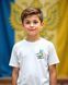 Футболка патріотичні колоски з волошками 13.. фото